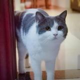 机智的风筝eT头像