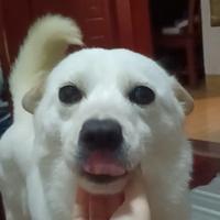 用户425368717856头像