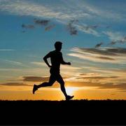 阁老的个人资料头像