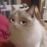 阿炳Plus头像