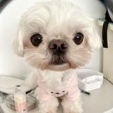 老紫只做cls头像