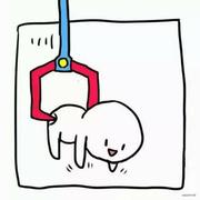 云端的风的个人资料头像