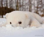 Bygenius的个人资料头像