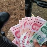 可盐先生头像