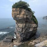 喜欢新能源的旧能源车主头像