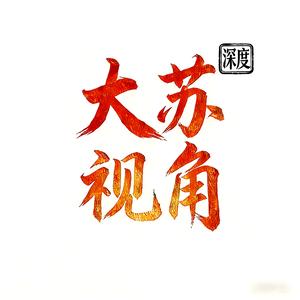 大苏视角头像