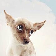 缄默528的个人资料头像