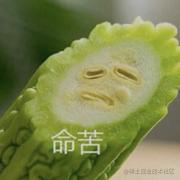 hahabboom的个人资料头像