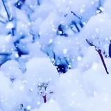 用户1129953596625头像