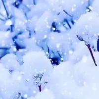 用户1129953596625头像