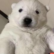 李同学的全栈日记的个人资料头像