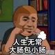 悦泽众头像