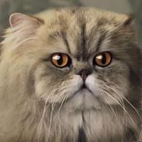 哆啦A猫618头像