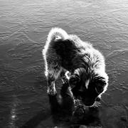 孙斌的个人资料头像