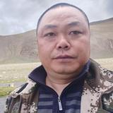 上安龙头像
