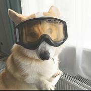 周末不打烊的个人资料头像