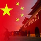 V实名认证头像