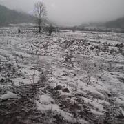 用户5487963248162的个人资料头像