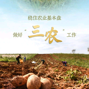 老赵助农头像