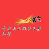 云碧小普头像