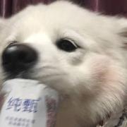 杨杨杨young的个人资料头像
