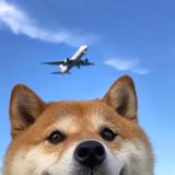 南方82808头像