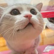 用户6686127297840的个人资料头像