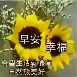俄尔朱斯6Q9O头像