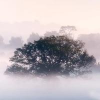 天道酬勤Zero头像