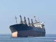 小黑鱼快点游的个人资料头像