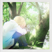 QHP的个人资料头像