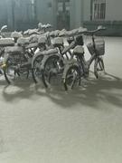 bit杨的个人资料头像