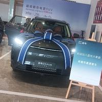 蓝电小灰灰头像