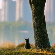 枝枝生风的个人资料头像