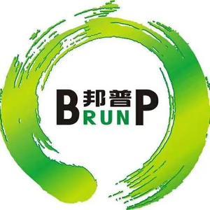 Brunp邦普循环招聘