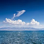 Lm黎明的个人资料头像