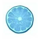 不如跳舞酱的个人资料头像