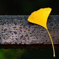 用户8227126551156头像