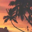 smile爱学习109493的个人资料头像