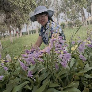 每日听听歌快乐会更多头像