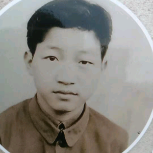 老石聊百态头像