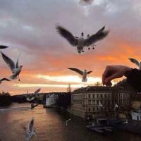 那就晚安735头像