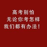 高考志愿0454头像