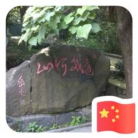 飛的更高更远25头像