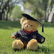 开开熊的个人资料头像