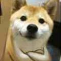 1210466181头像