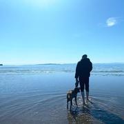 洒脱731的个人资料头像