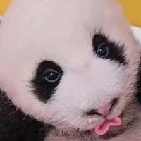 快及时行乐头像