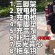 小酪迪头像