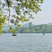 ponytao的个人资料头像